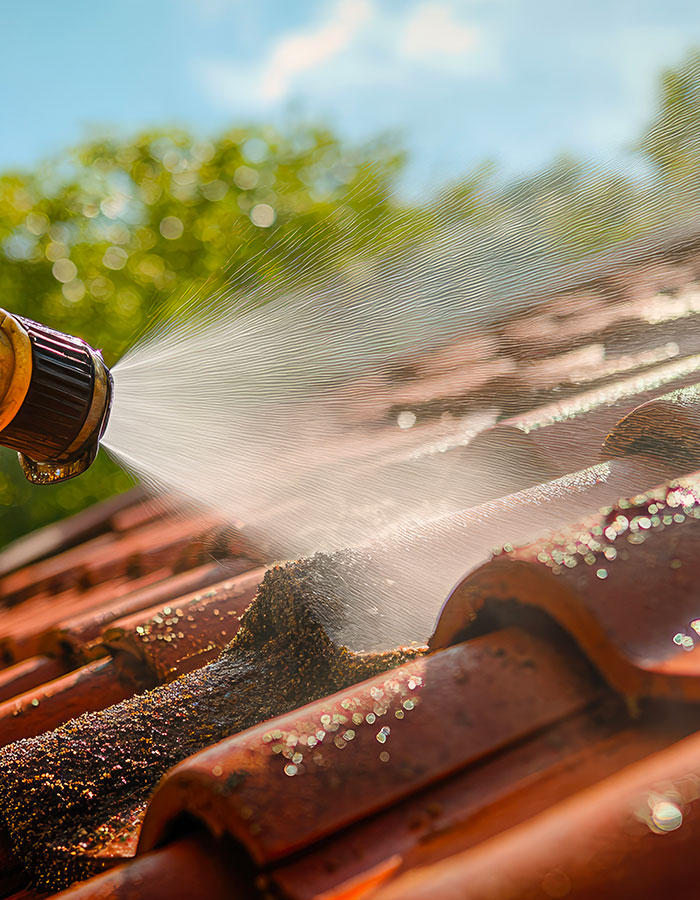 Nettoyage et démoussage de toiture à Saulx-Les-Chartreux (91160) dans le Val d'Oise Nettoyage et démoussage de toiture à Saulx-Les-Chartreux (91160) dans le Val d'Oise