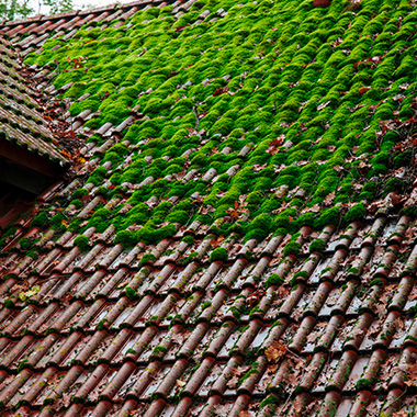 MB Toiture 91 - Entreprise de couverture à Saulx-Les-Chartreux (91160) dans l'Essonne (91)